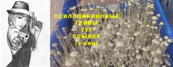 кокаин колумбия Алзамай